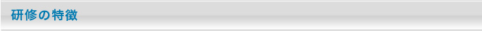研修の特徴