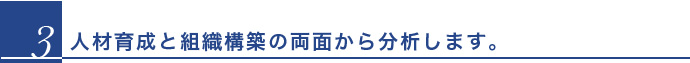 人材育成と組織構築の両面から分析します。